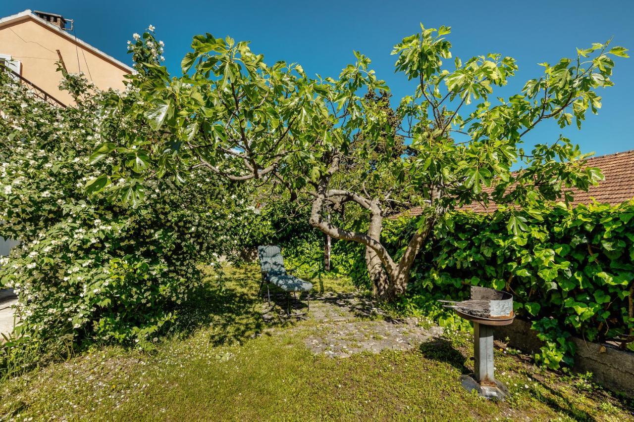 Green Garden Apartments Херцег-Нови Экстерьер фото